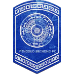 广西平果呗侬女足队标,广西平果呗侬女足图片