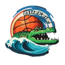 合肥女篮队标,合肥女篮图片