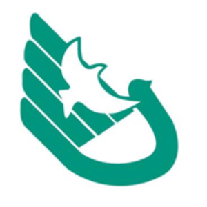 华南师大附中U13队标,华南师大附中U13图片