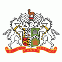 基拿云后备队队标,基拿云后备队图片