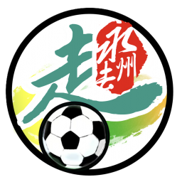 永州队队标,永州队图片