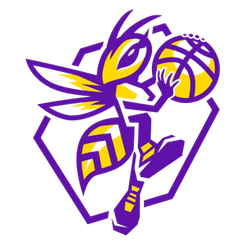 查瓦卡塔女篮队标,查瓦卡塔女篮图片