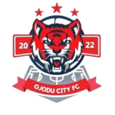 奥约杜市青年队队标,奥约杜市青年队图片